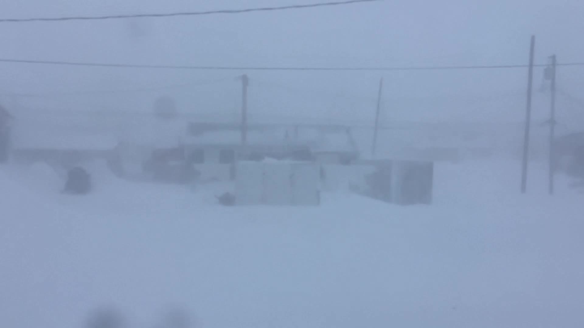 Just Chilling Just Chilling