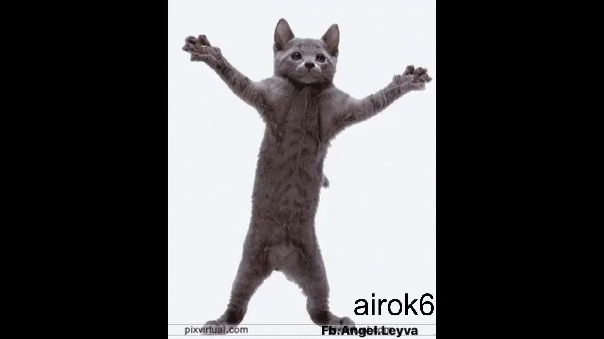 AIROK - DE VOS NO ME OLVIDO