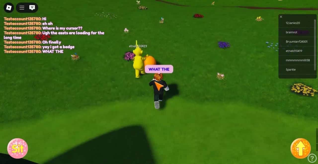 Roblox-2025-05-18T10_19_01.302Z