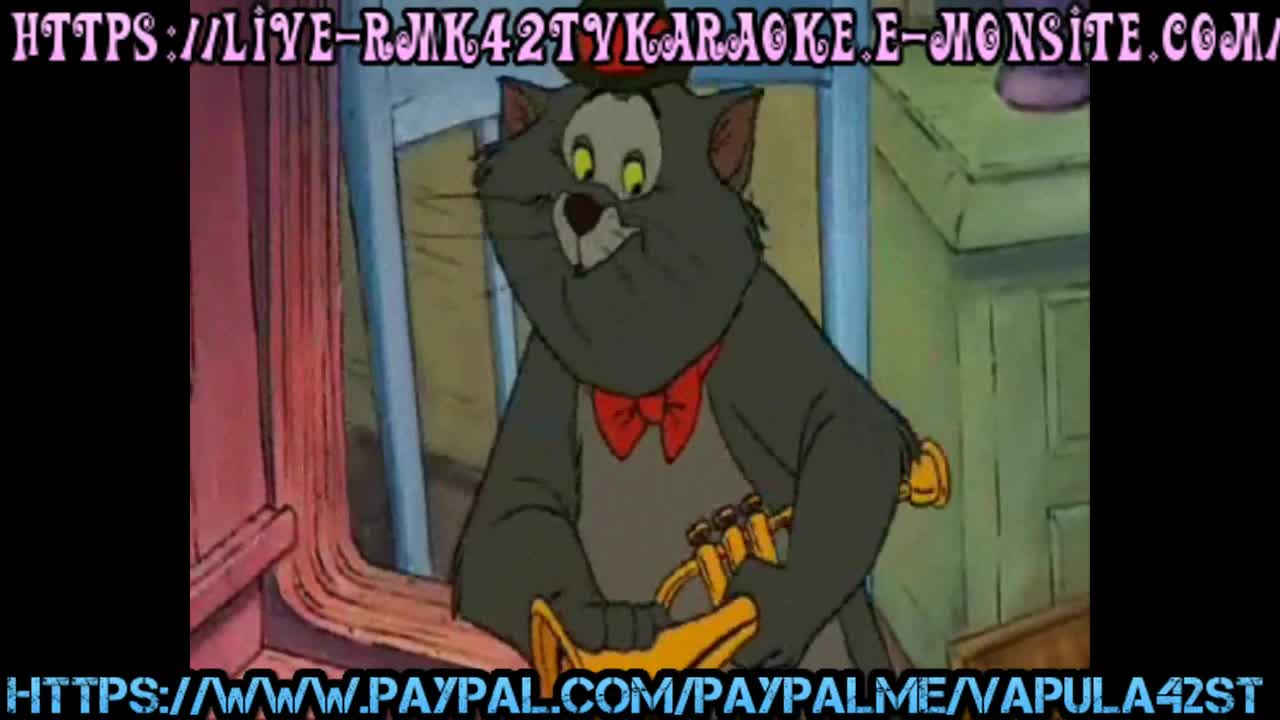 les chats font la fête  live rmk42tvkaraoke