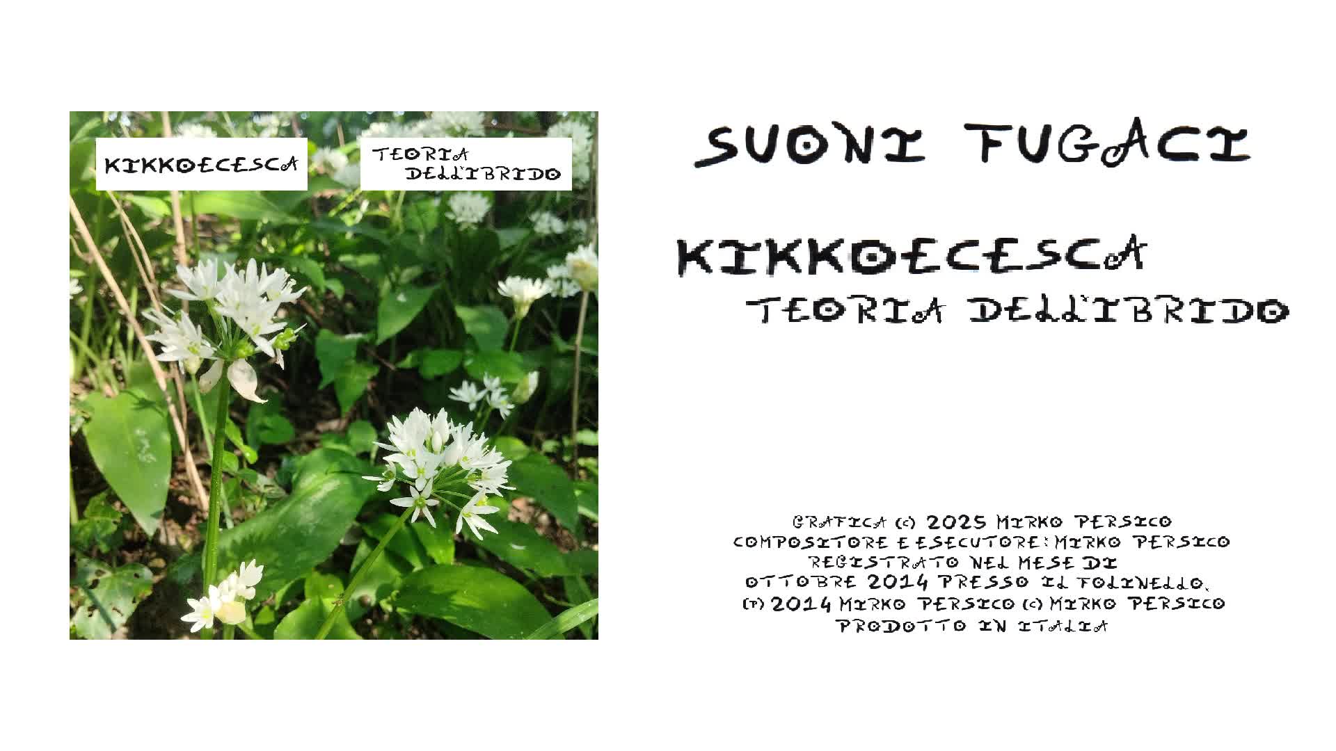 KikkoECesca - Suoni Fugaci