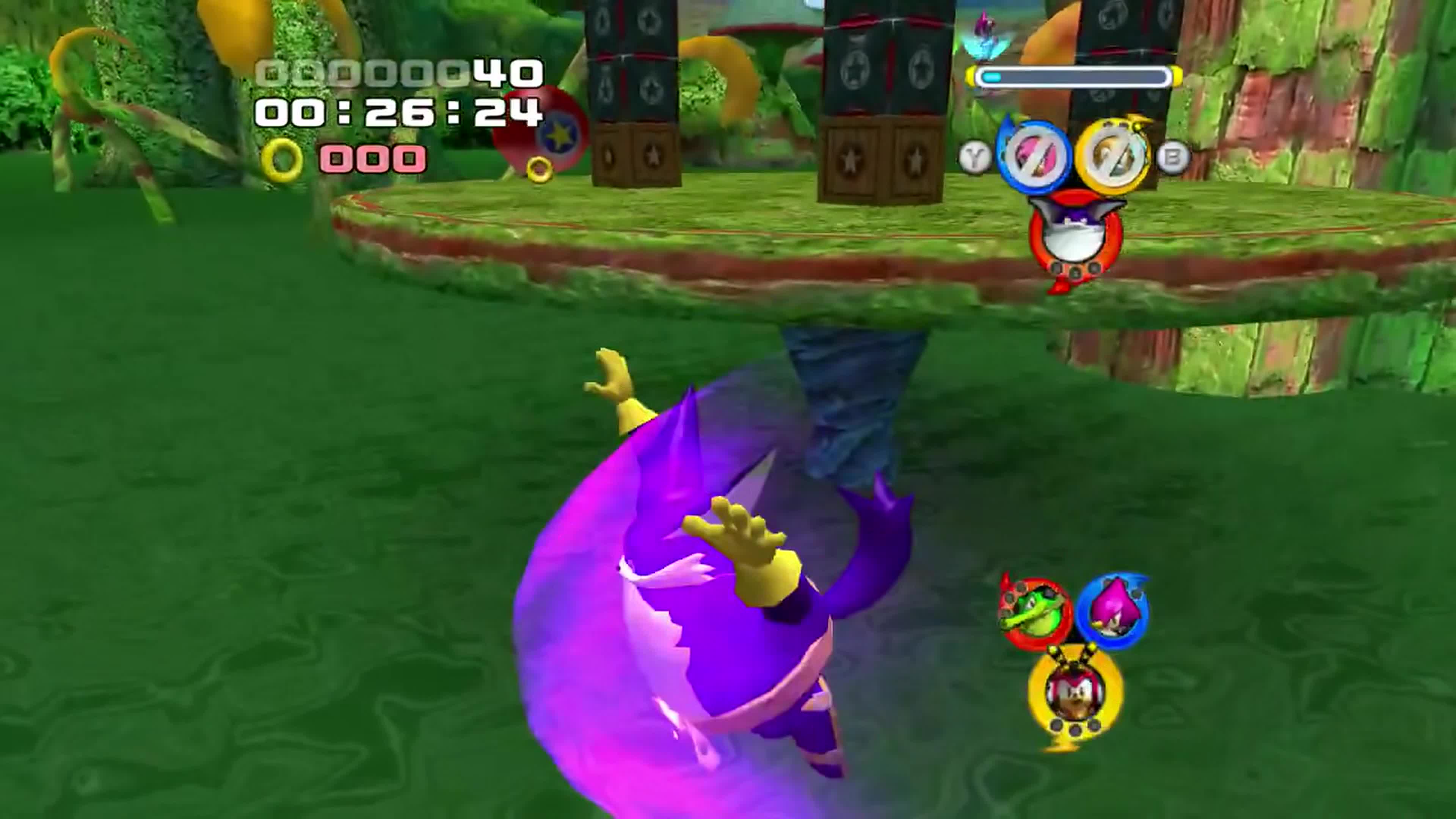 Team Rose Versus Team Chaotix