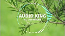 Audio King - Harmonie|Audio King|