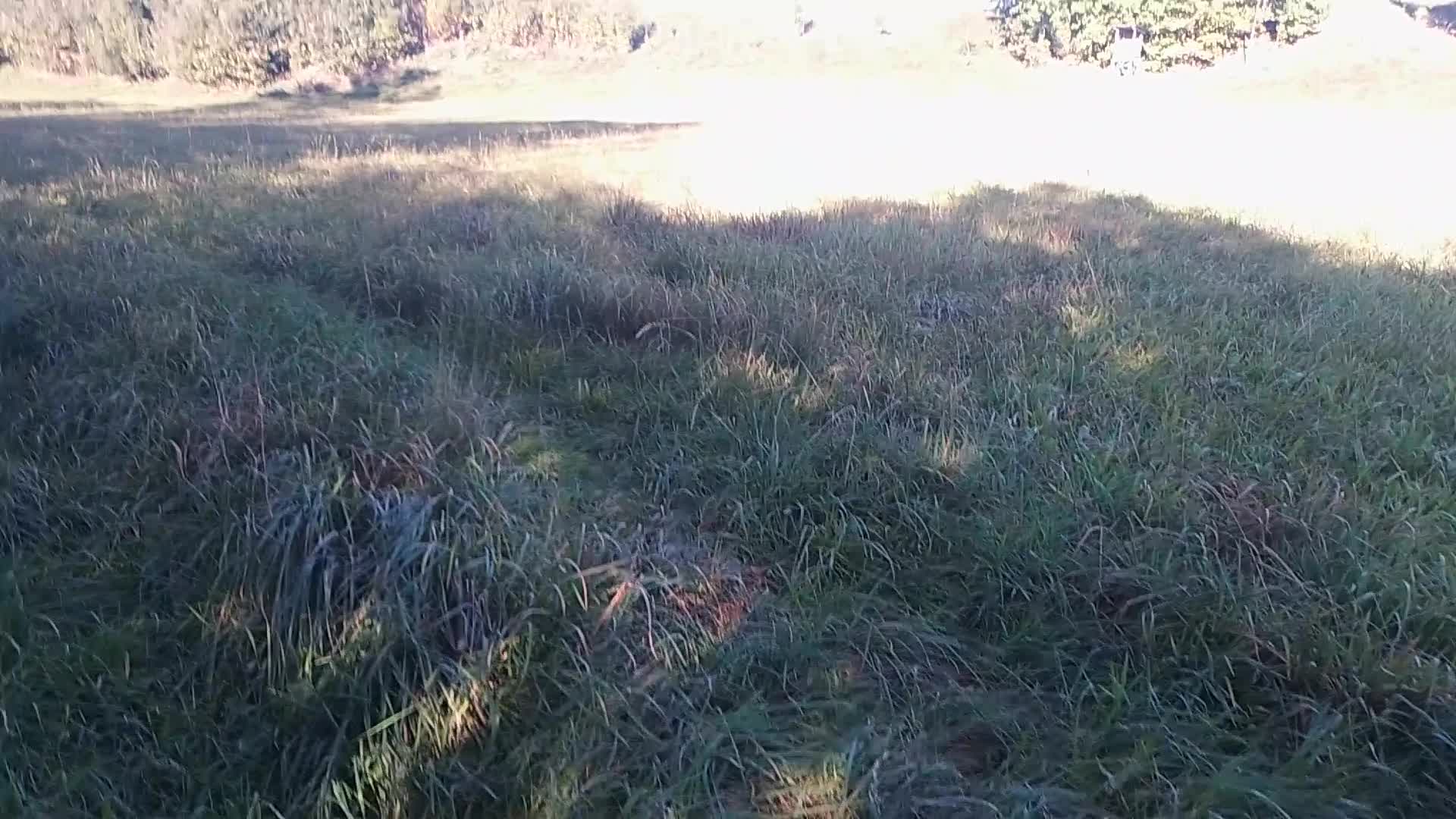 Seilweg Hoch – Atemberaubende Aussicht von Oben!