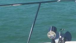 marco_island_fl_boating_with_dolphin_April_1_2019