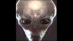 Critica a Extraterrestrebestial