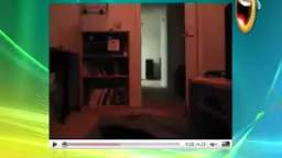 cats real 200 5