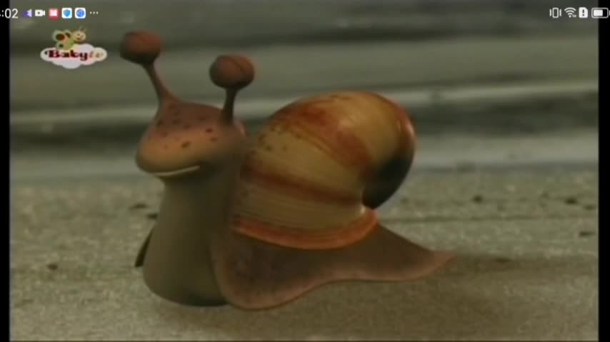 Mr. Snail - Crab