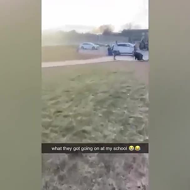 Person pretending to be dog in public
