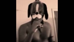 TheDOGang ☞ Youtube Superstar ☜