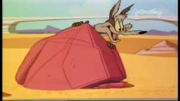 highway runnery (34) Wile E. Coyote & Road Runner