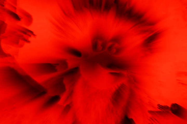 The Muppet Birds in the Jungle BURNING FIRE EFFECT