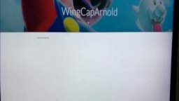 WingCapArnold WEBSITE PREVIEW