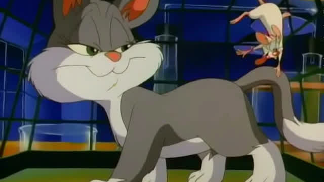 Pinky and the Cat (French Dub)