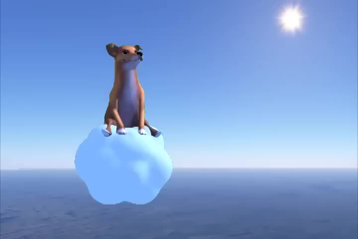 Dog of Wisdom